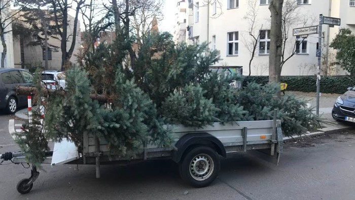 Eine gefällte Tanne wird auf einem Wagen durch eine Straße transportiert