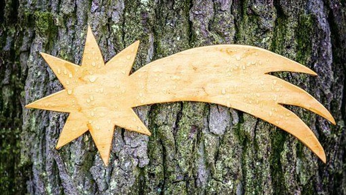 Ein goldfarbener Stern mit Tröpfchen auf einem Baumstamm.