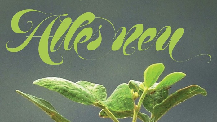 Plakat mit grüner Pflanze und deutschem Text.