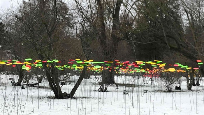 Künstlerische Installation mit grauen, gelben und roten Blättern auf dünnen Stäben, vor dunklen Bäumen in einer Schneelandschaft.