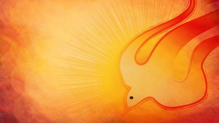 Ein weißer Taubenumriss vor einem leuchtend orangefarbenen Hintergrund mit Strahlen.