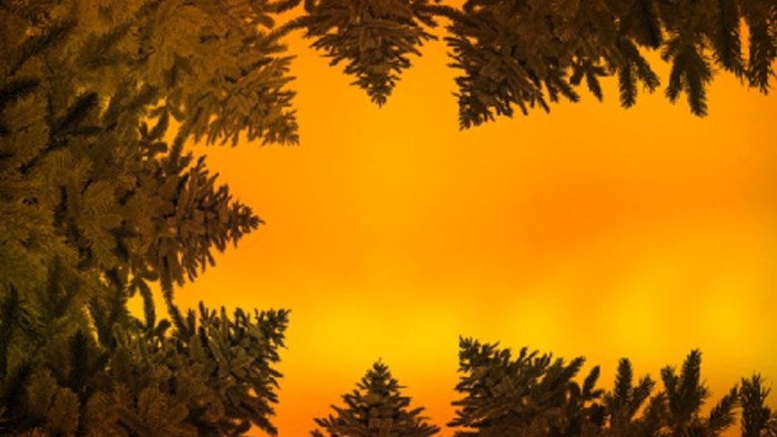 Kirchenkalender für den Advent 2025 mit einer ruhigen Naturlandschaft