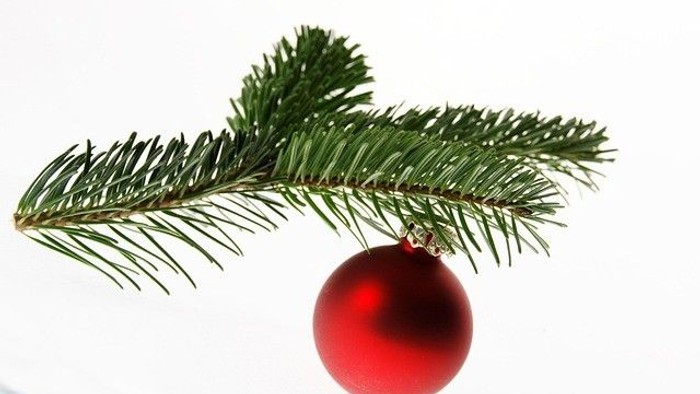 Grangren med rød julekugle