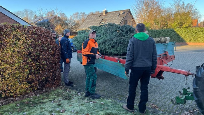 Der Tannenbaum wird auf einem Hänger angeliefert.