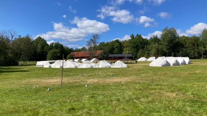 Zelte auf einem grasbewachsenen Feld mit Bäumen im Hintergrund.
