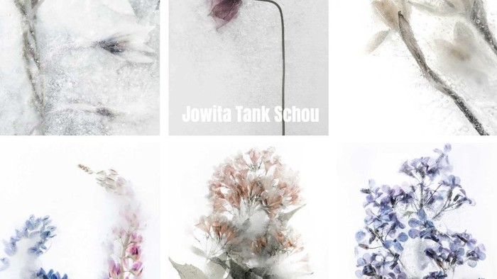 billeder af fotograf Jowita Tank Schou