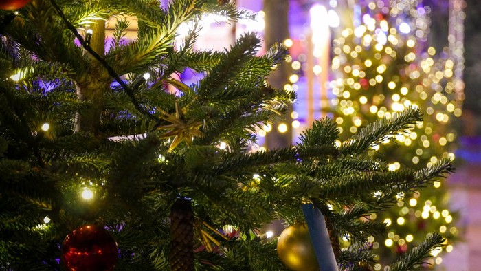 Ein Teil eines geschmückten Weihnachtsbaum ist links zu sehen, im Hintergrund unscharf ein Raum mit vielen Lichtern