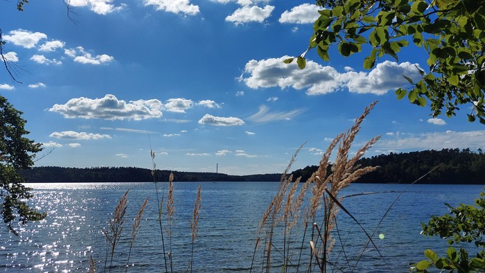 Sonniger Tag mit blauem Himmel und Wolken über einem See, umgeben von Bäumen.