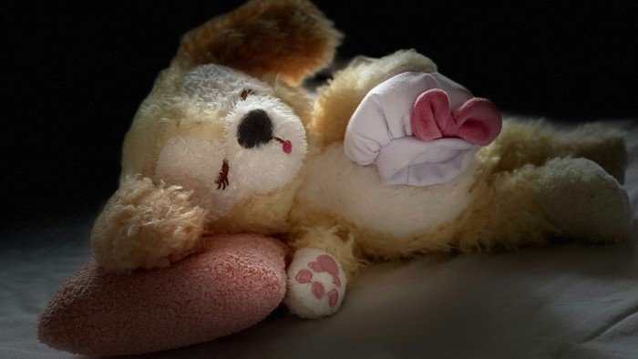 Ein Stofftierhund liegt auf einem kleinen Kissen vor einem abgedunkelten Hintergrund