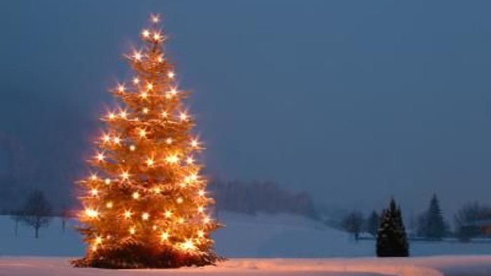 Ein beleuchteter Weihnachtsbaum steht im Schnee bei Dämmerung