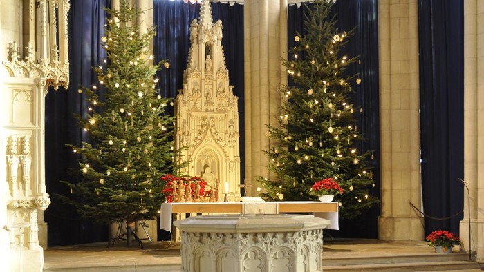Die Ev. Stadtkirche zu Weihnachten mit zwei Tannenbäumen