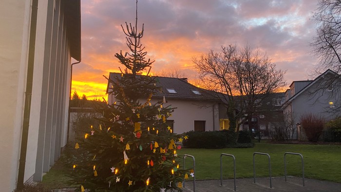 Geschmückter Weihnachtsbaum in einem Vorgarten während eines farbenfrohen Sonnenuntergangs.