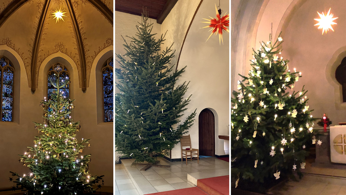 Hier sieht man die beleuchteten und geschmückten Weihnachtsbäume in der Christus-, Lukas- und Johanneskirche.