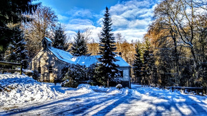 Ein schneebedecktes Haus in einem Waldgebiet mit klarem Himmel.