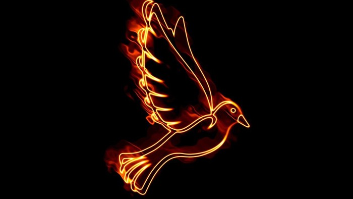 A vibrant, glowing bird in flight against a dark background.