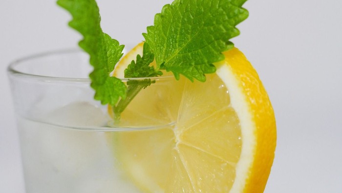 Wasserglas mit einer Scheibe Zitrone und Stil mit zwei Pfefferminzblättern