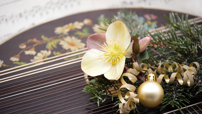 Elegante Notenblätter, verziert mit festlichem Grün, einer Heliotropblüte und weihnachtlichem Schmuck.