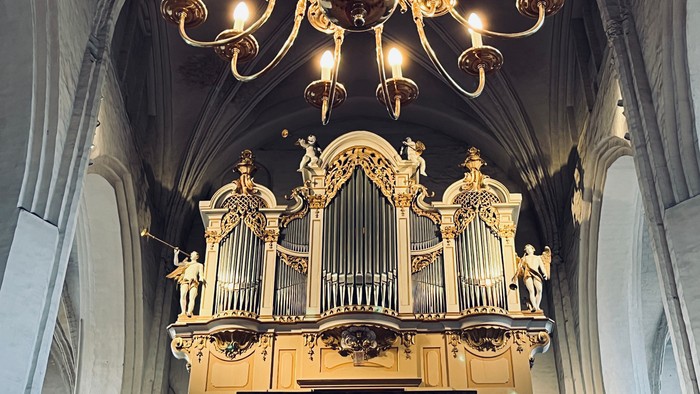 Die Eule-Orgel der Oberkirche Cottbus