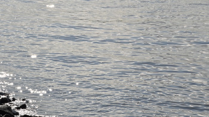 Das Bild zeigt ruhiges Wasser mit kleinen Wellen und Sonnenreflexen.