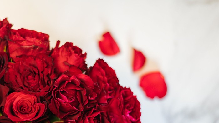 Rote Rosen in einer Vase mit verstreuten Blütenblättern