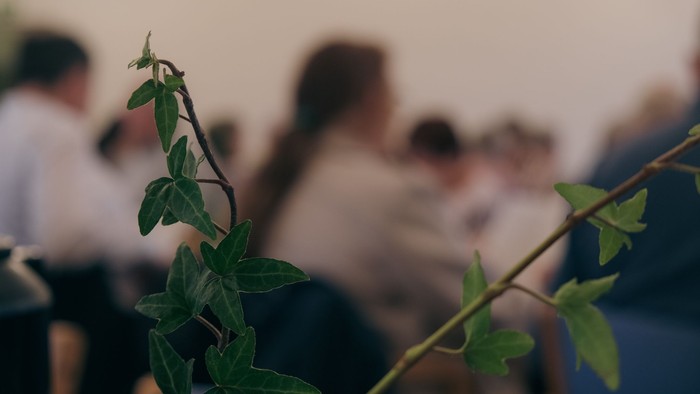 Et nærbillede af grønne basilikumblade foran et sløret publikum i et svagt oplyst lokale.