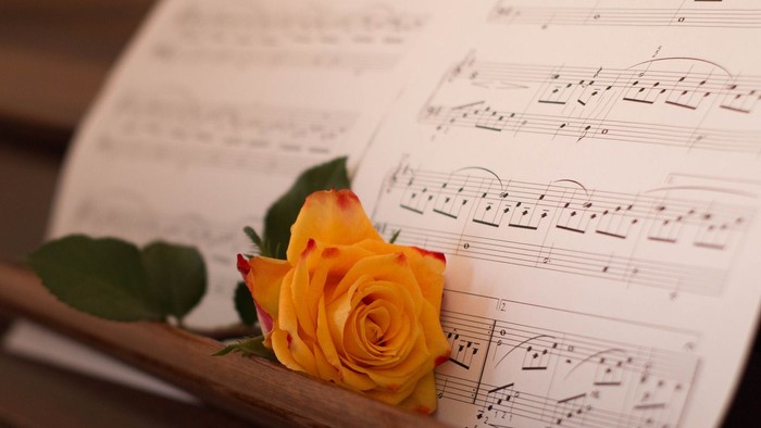 Eine gelbe Rose liegt auf Notenblättern