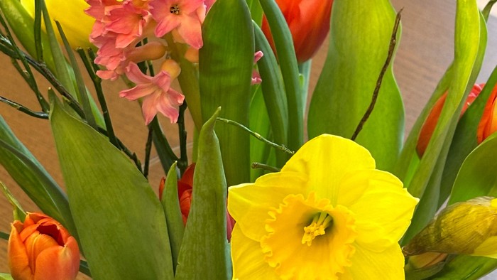 Frühlingsblumen in einer Vase