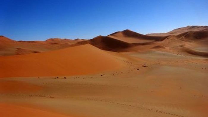 Weite Wüstenlandschaft mit ausgedehnten Sanddünen unter klarem blauem Himmel.