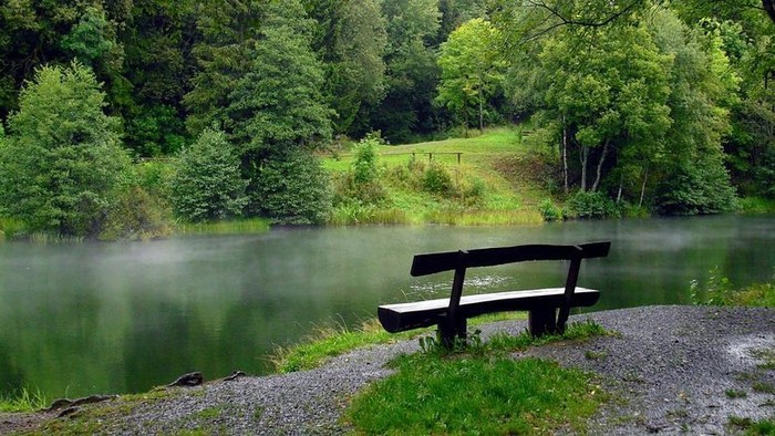 Eine ruhige Bank am See, umgeben von üppigem Grün und nebligen Spiegelungen im Wasser.