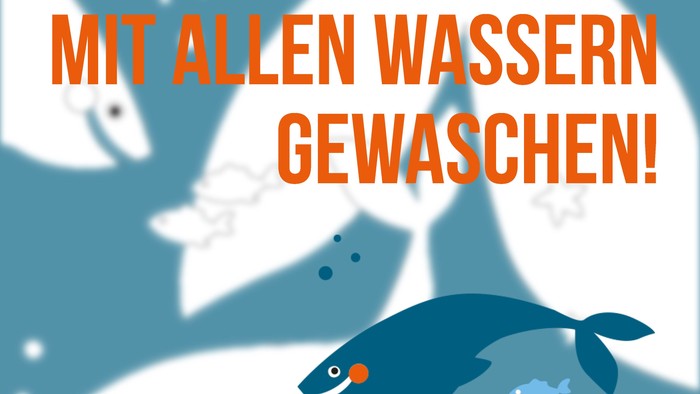 Plakat für ein Tauffest in Neuwied mit Fisch- und Wassermotiven, geplant am 28. Juni 2026.