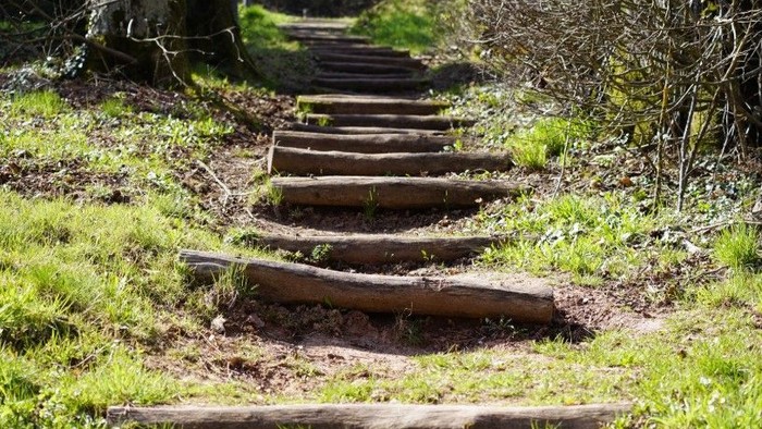 Holzstufen, die sich durch eine grasbewachsene, bewaldete Hügellandschaft schlängeln.