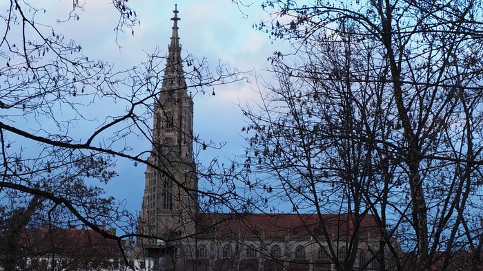 Ein hoher Kirchturm ragt hinter kahlen Bäumen empor, der Himmel ist bewölkt