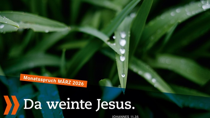 Nahaufnahme von Wassertropfen auf grünen Blättern mit dem deutschen Monatszitat *„Da weinte Jesus“* aus Johannes 11,35.
