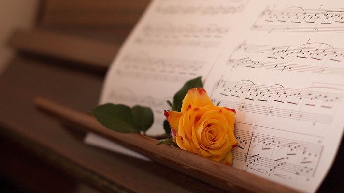 Eine gelbe Rose liegt auf Notenblättern