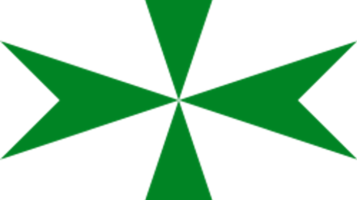 Das Bild zeigt ein stilisiertes grünes Kreuz.