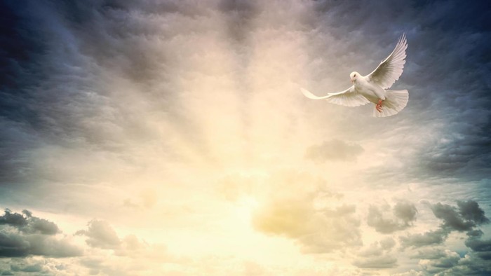 Eine friedvolle weiße Taube fliegt auf ein strahlendes göttliches Licht in einem dramatischen, wolkenverhangenen Himmel zu.
