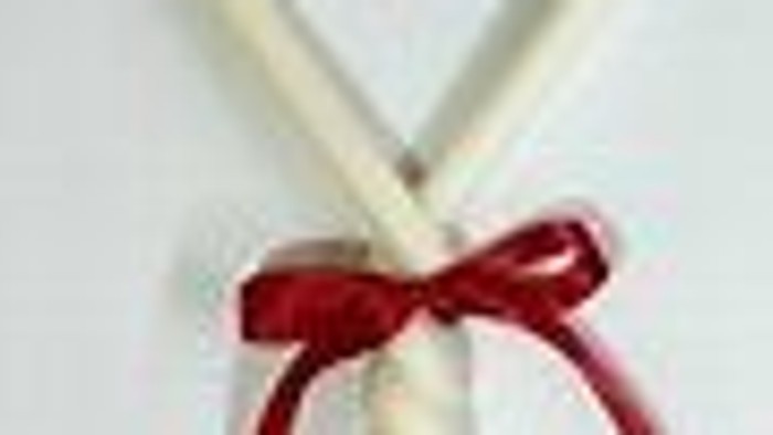 Two rolled-up white papers tied together with a red ribbon.