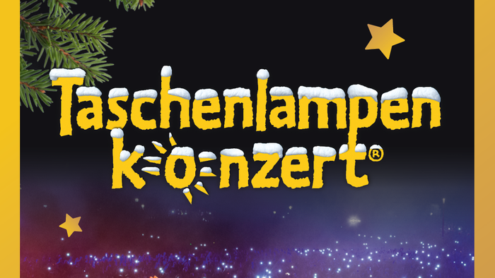 Weihnachtskonzert-Plakat mit Taschenlampen, Rumplestilzchen und Jugendchor am 15. Dezember 2024 auf dem Domplatz.