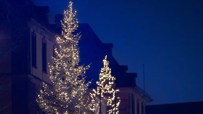 Eine festliche Menschenmenge versammelt sich nachts um hell erleuchtete, hoch aufragende Weihnachtsbäume auf einem Stadtplatz.