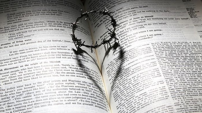 Ein Buch liegt aufgeschlagen da, eine Feder mit einem kleinen Dornenkranz liegt darauf