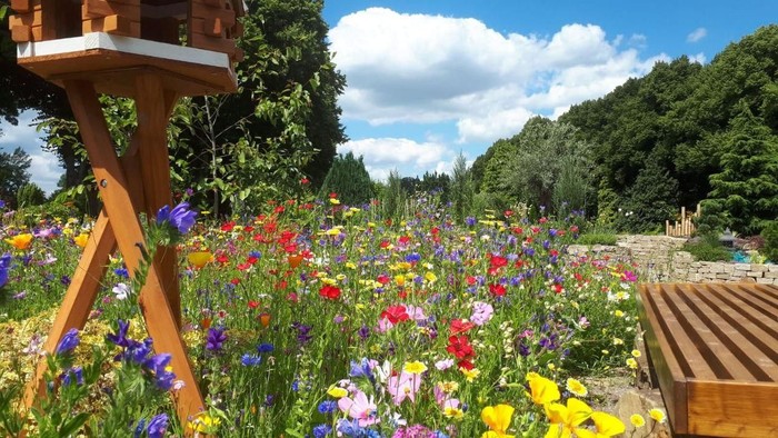 Blühende Blumen auf dem Schattbachfriedhof in Bochum-Querenburg
