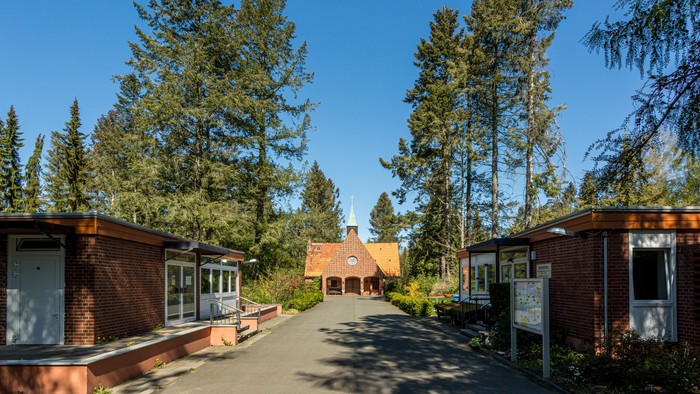 Ein ruhiger Weg, gesäumt von Backsteingebäuden und hohen immergrünen Bäumen unter einem klaren blauen Himmel.