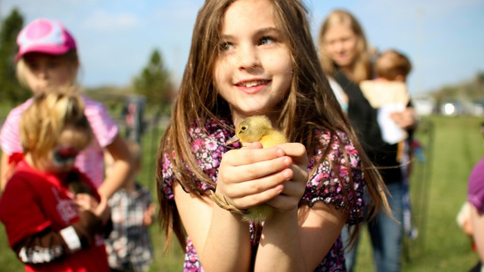 Ein lächelndes Mädchen hält sanft ein kleines gelbes Küken im Freien, während im Hintergrund eine Gruppe von Menschen zu sehen ist.