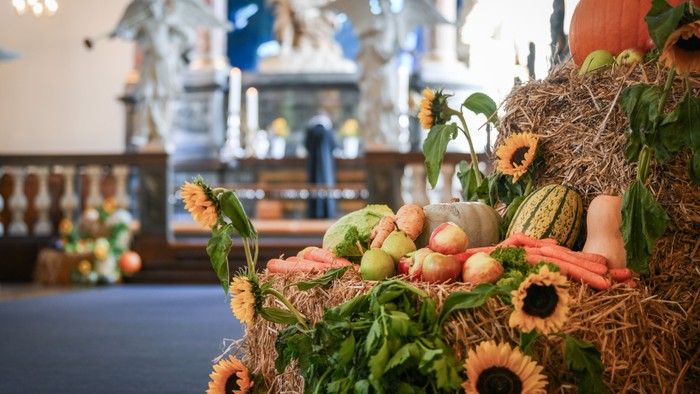 En hyggelig høstudstilling med blomster, pumpker og grønne planter i en indendørs lokalitet