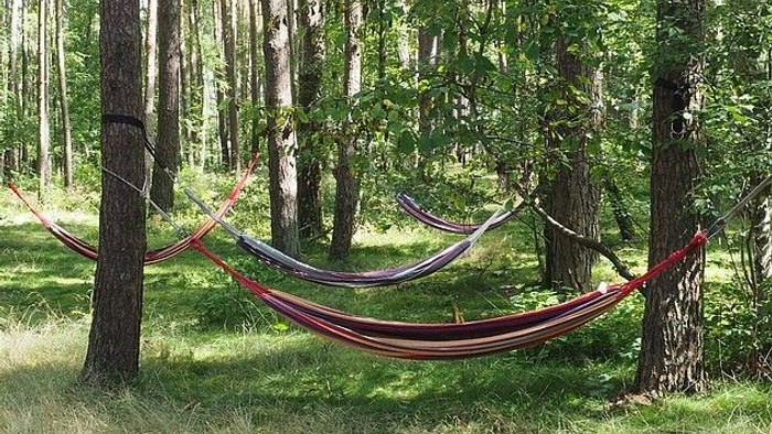 Hängematten im Wald
