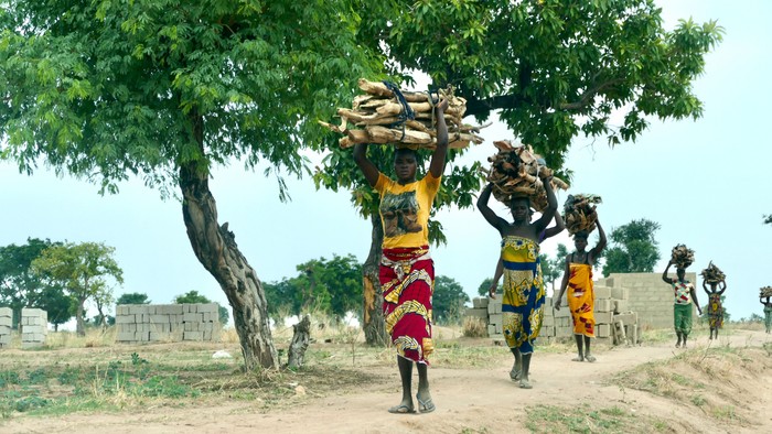 Frauen, die große Bündel auf ihren Köpfen durch eine ländliche, staubige Gegend unter einem Baum tragen.