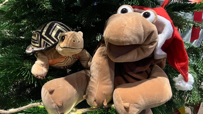 Auf dem Foto sieht man die Handpuppe Chili mit ihrer neuen Freundin, der kleinen Stoffschildkröte Henriette.