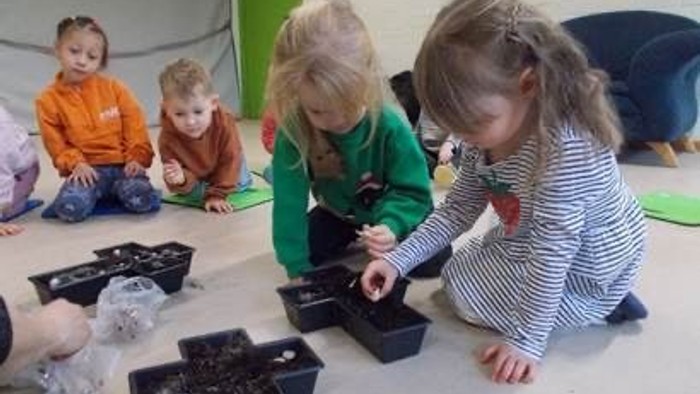 Junge Kinder pflanzen Samen in kleine Töpfe während einer Unterrichtsaktivität.