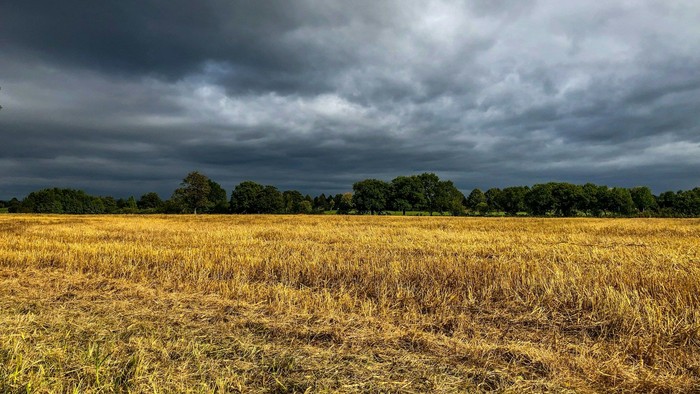 Ein Stoppelfeld unter dunklem Himmel