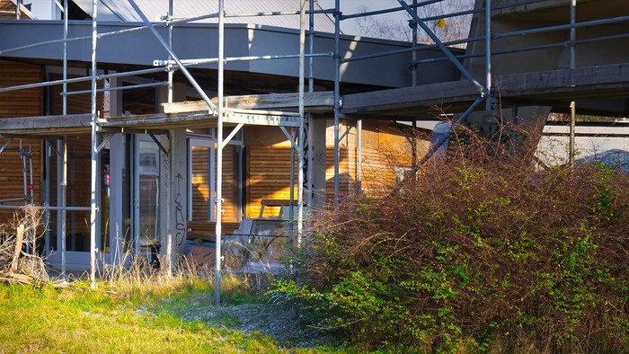 Ein Holzhaus wird eingerüstet und renoviert, umgeben von Grünpflanzen.